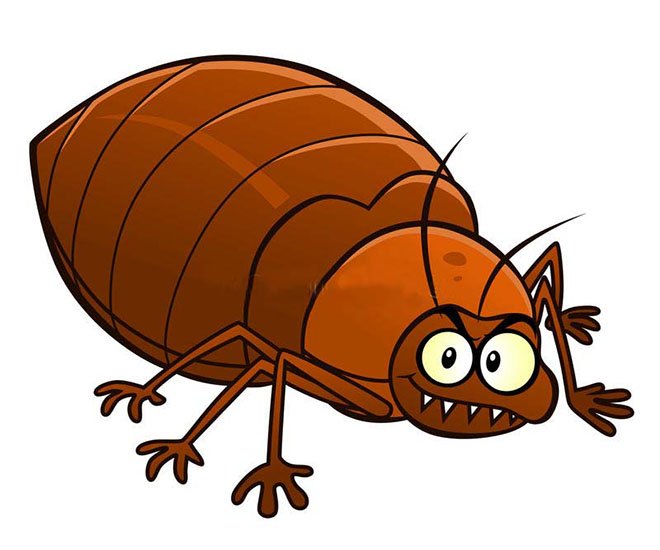 bug cartoon