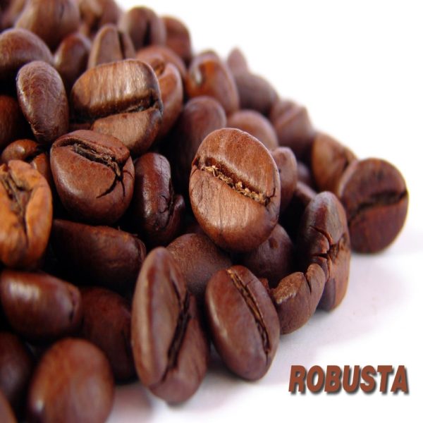 The robusta variety is inherently more disease resistant.