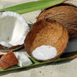 coconut