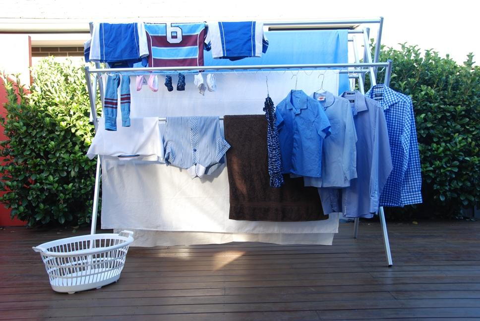 liana for drying clothes