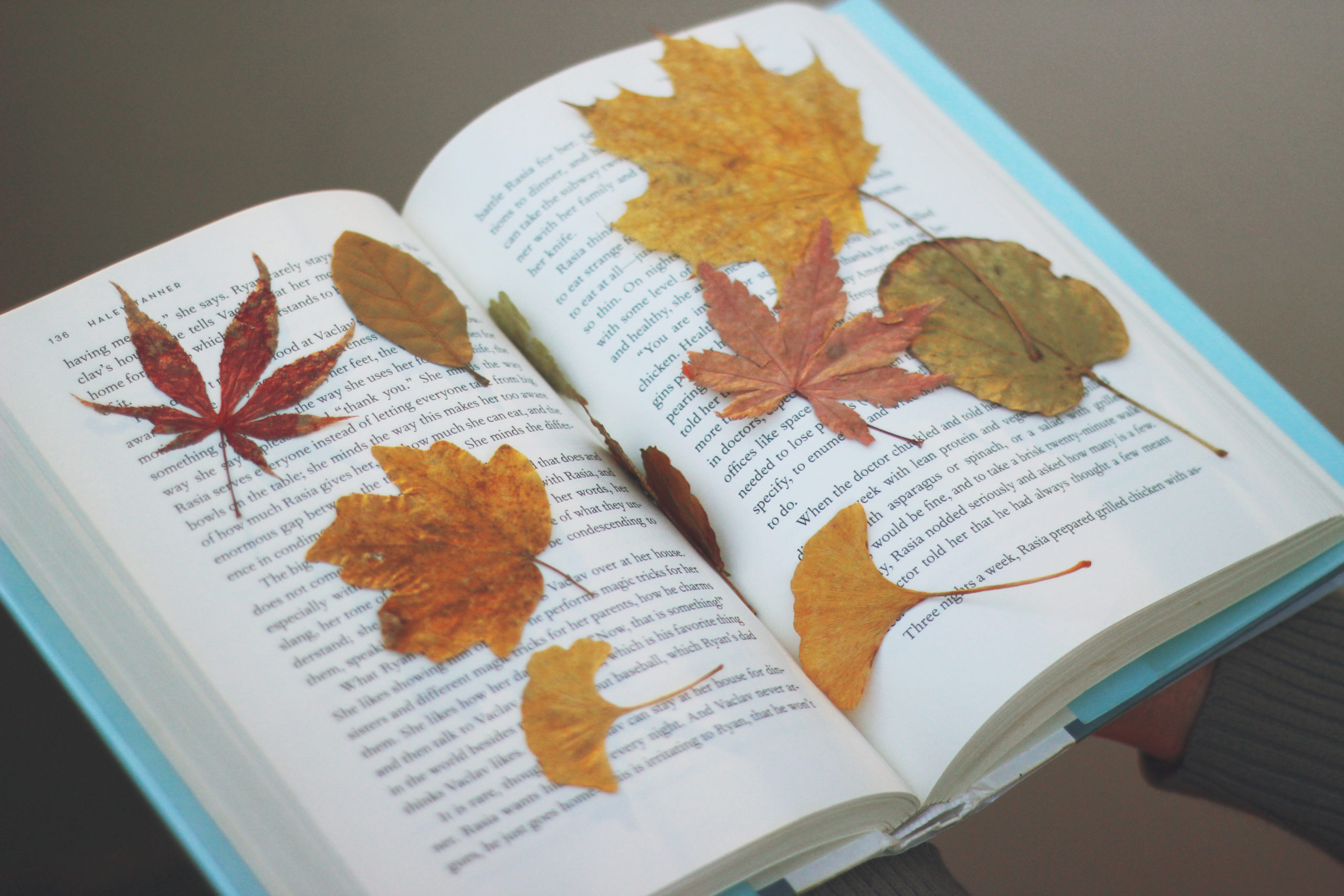 leaves in a book