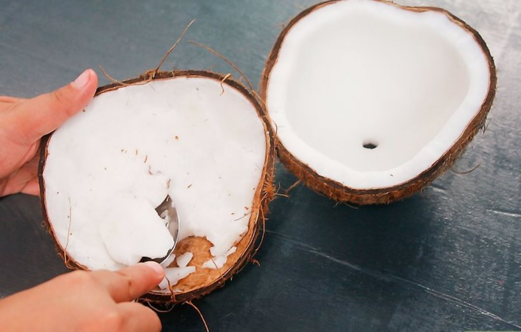 coconut pulp