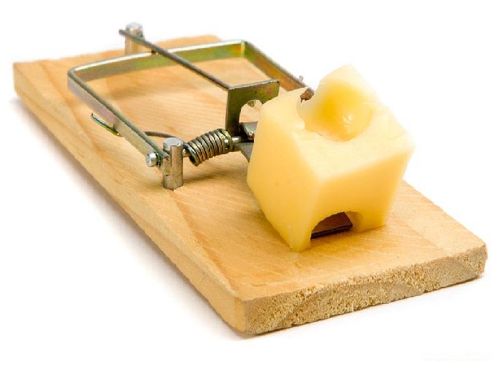 mousetrap