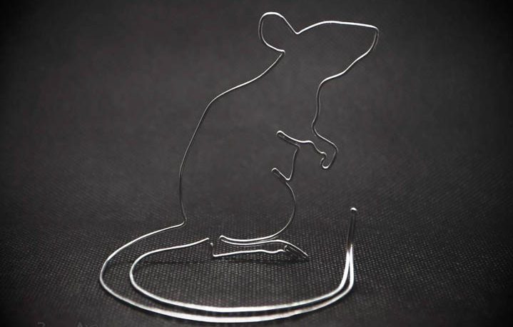 wire mouse