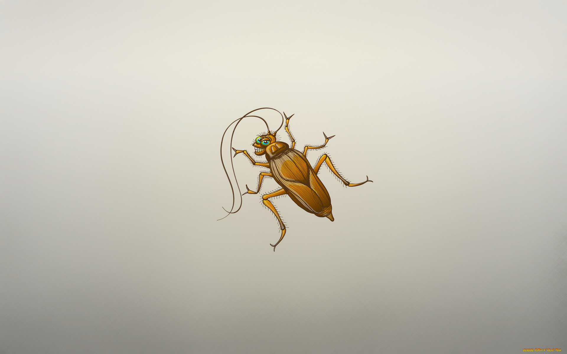 painted cockroach