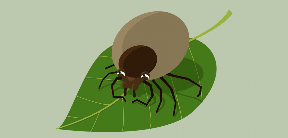 tick drawing