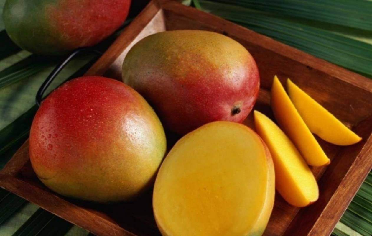 mango variety