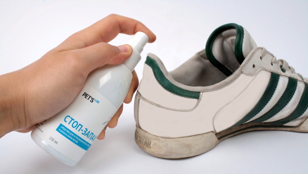 remedies for odor in shoes