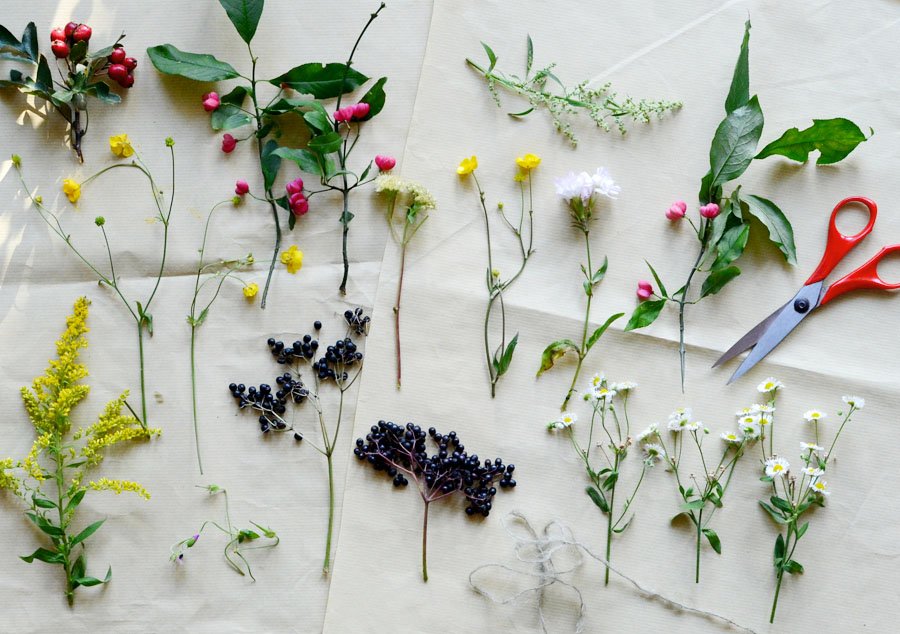 drying plants