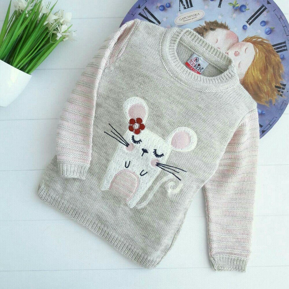 sweater with a mouse