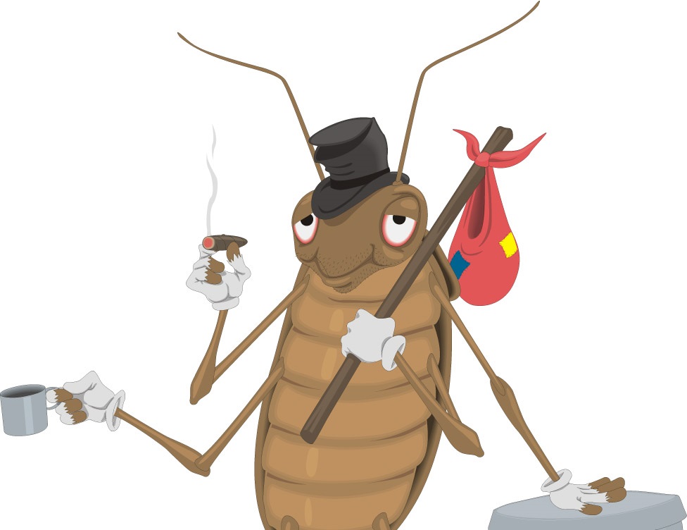 cockroach drawing