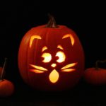 pumpkin for halloween decoration options