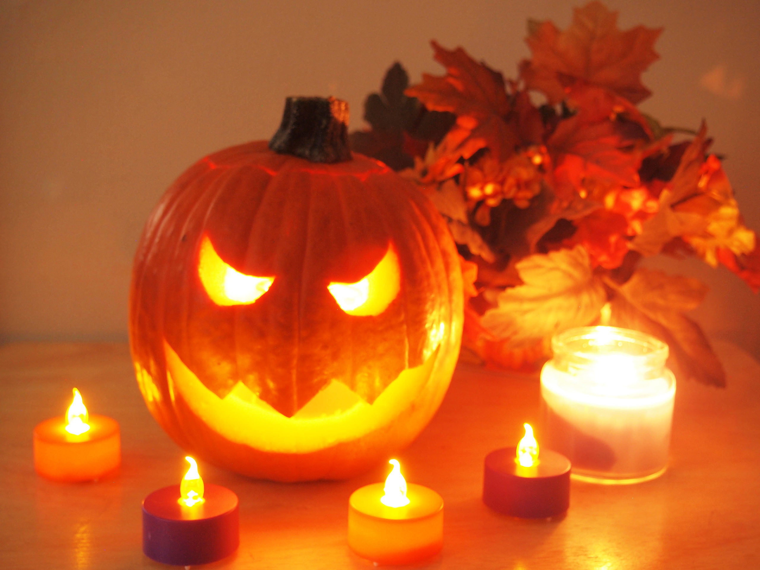 halloween pumpkin photo ideas