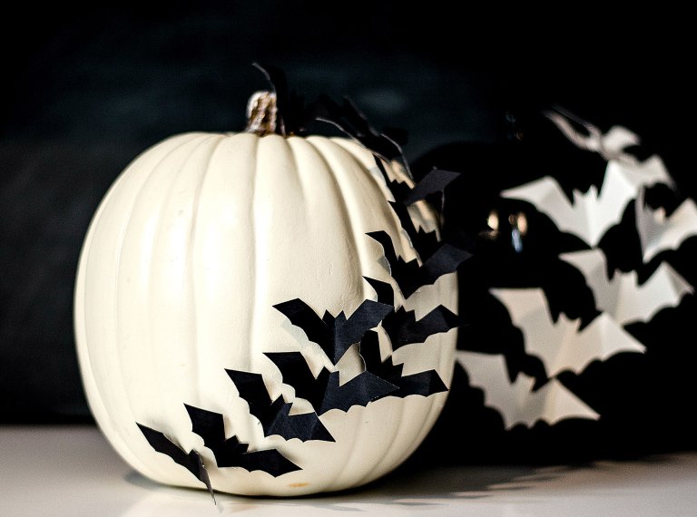 halloween pumpkin with bats