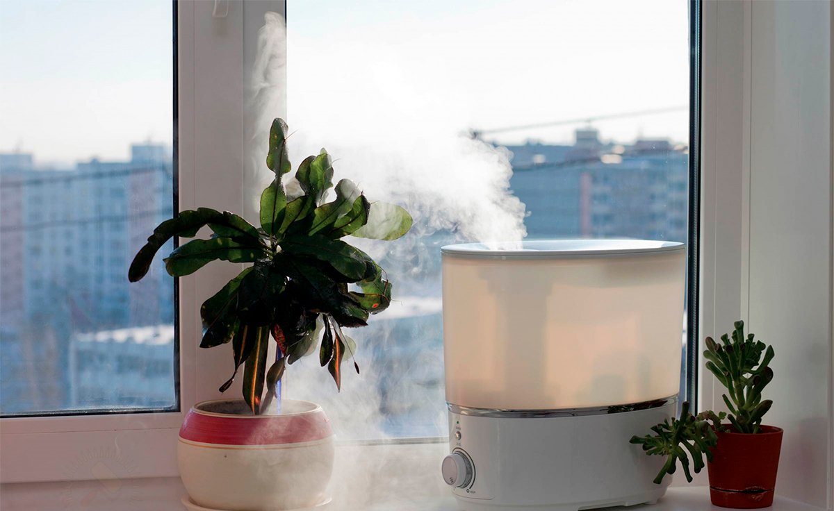 humidifier