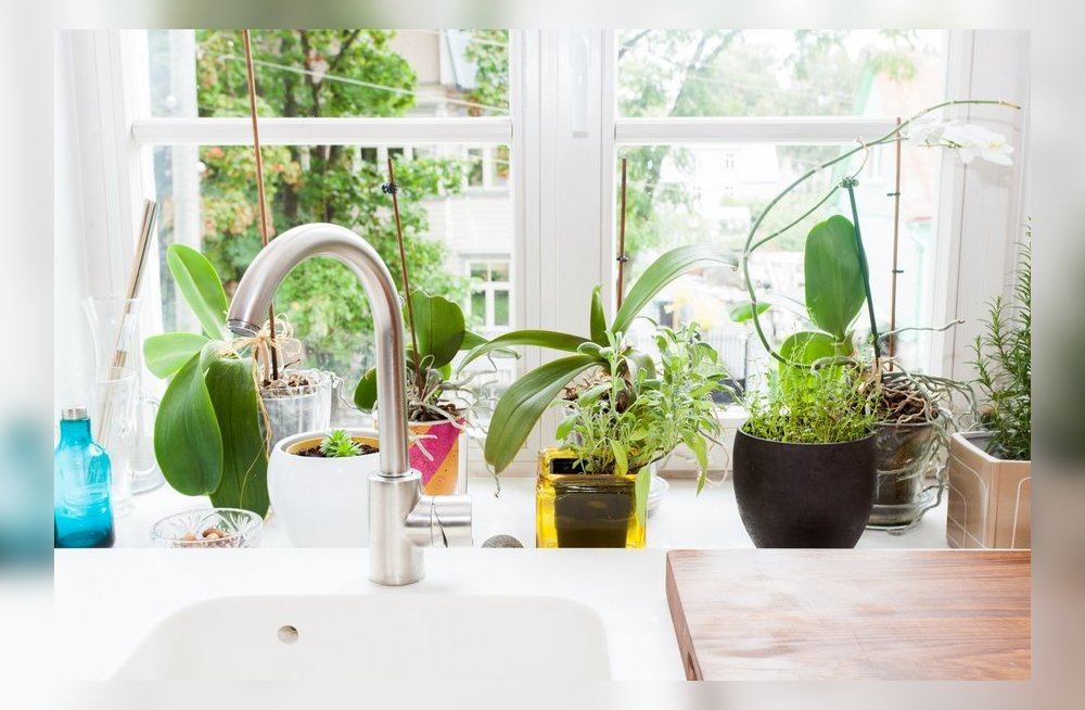 humidité de l'air dans l'appartement