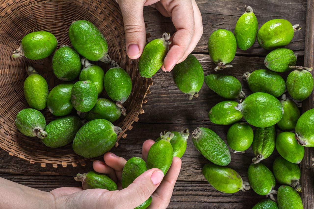 baie de feijoa