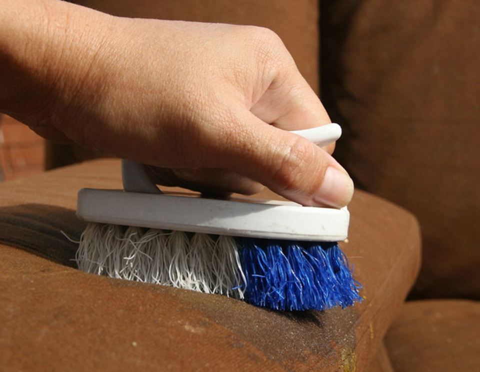 brushing the sofa