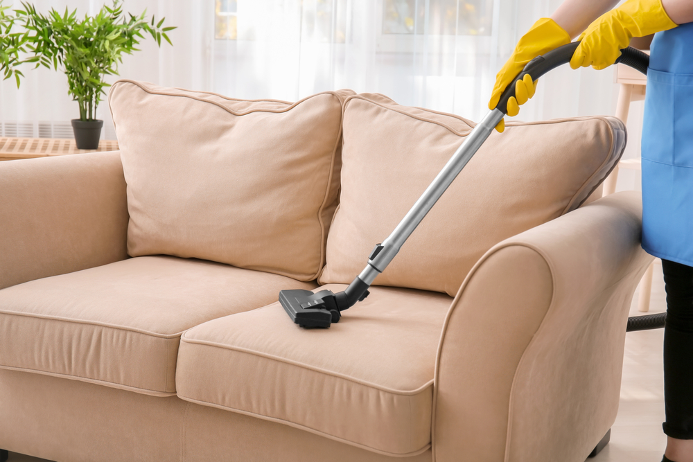 cleaning the sofa at home