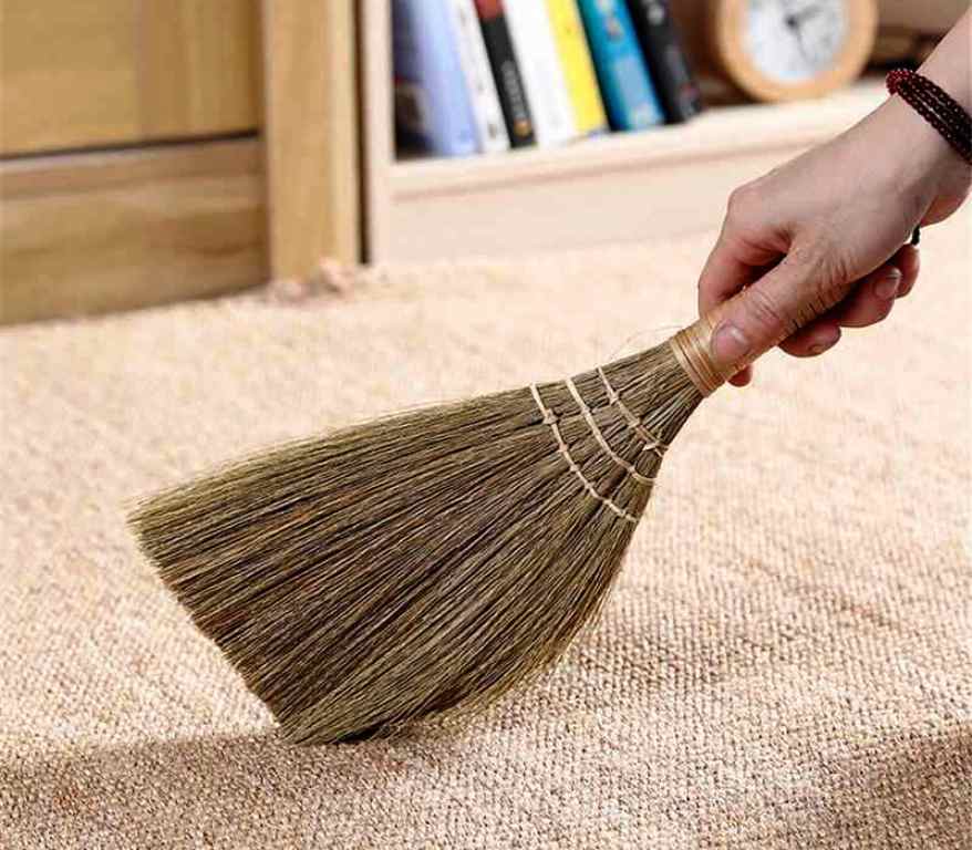 cleaning carpet with a soft broom