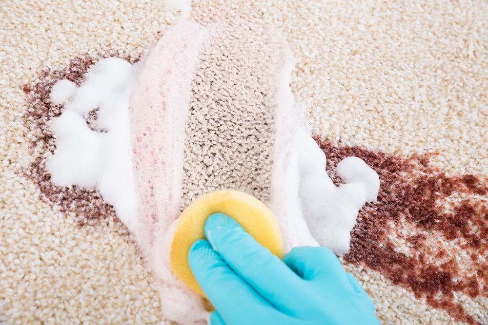 cleaning the carpet from wine and juice