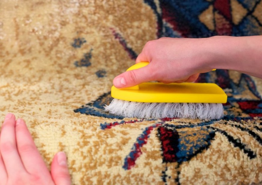 brushing carpet