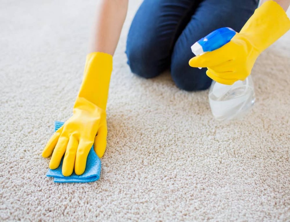 carpet cleaning options