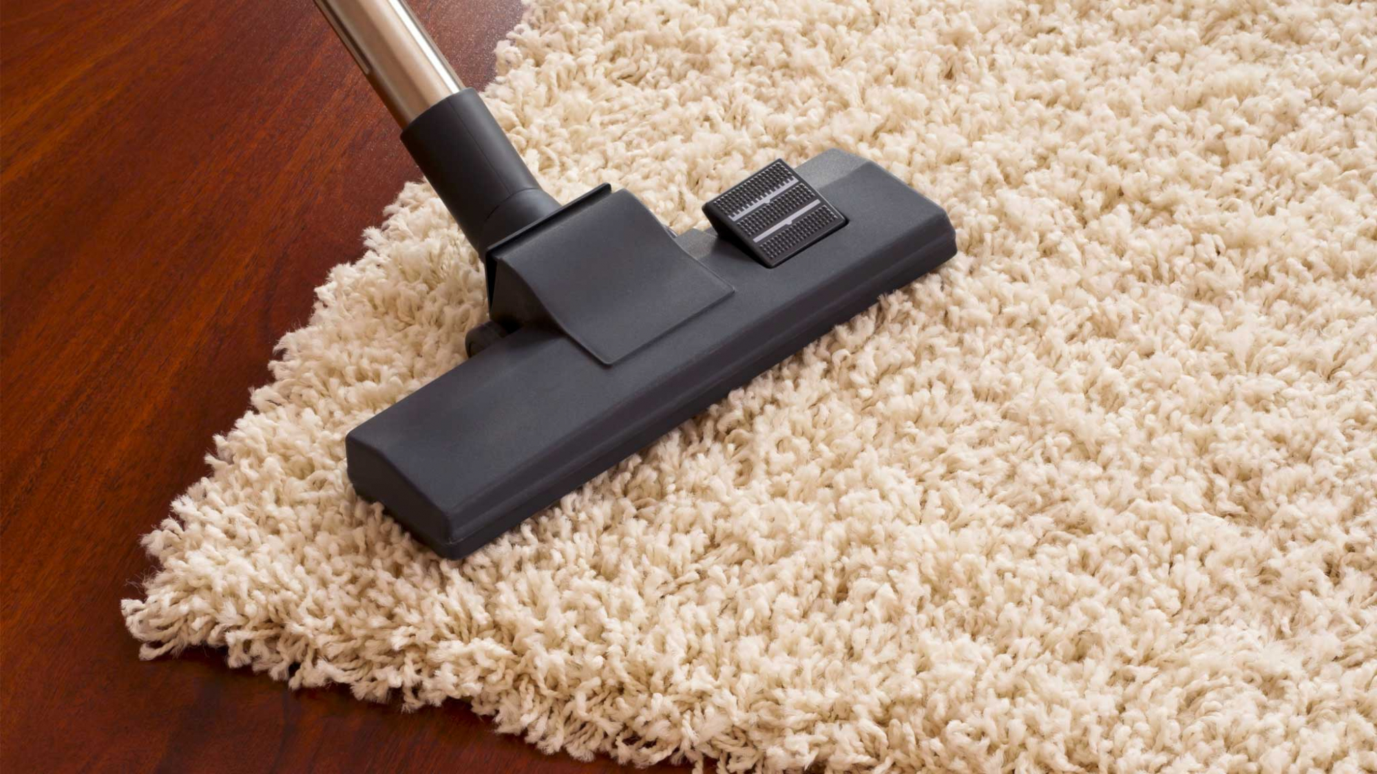 carpet cleaning