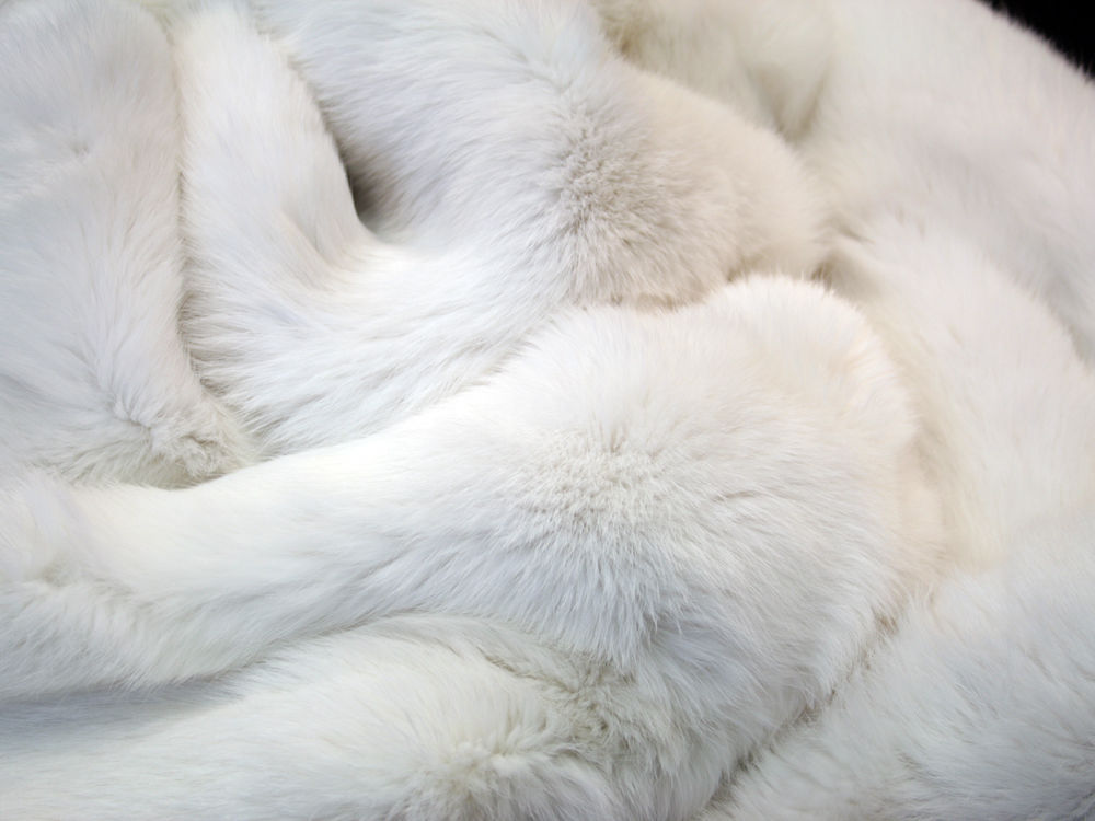 pure white fur