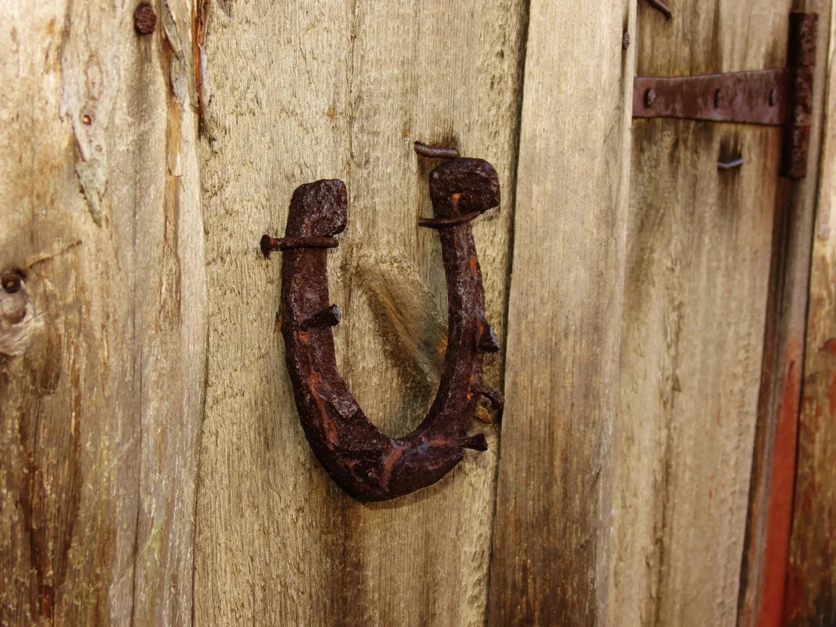 door with a horseshoe