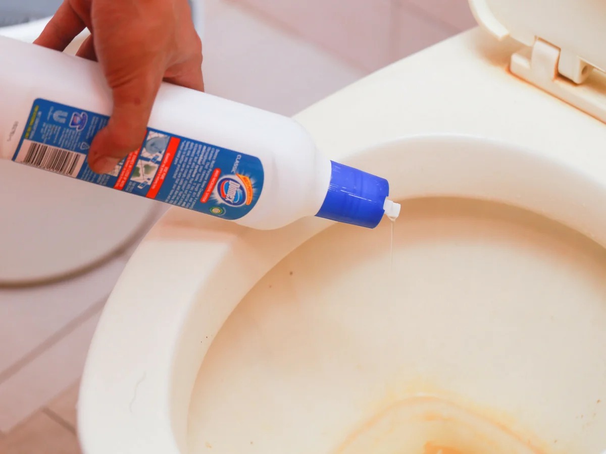 how to clean the toilet with domestos