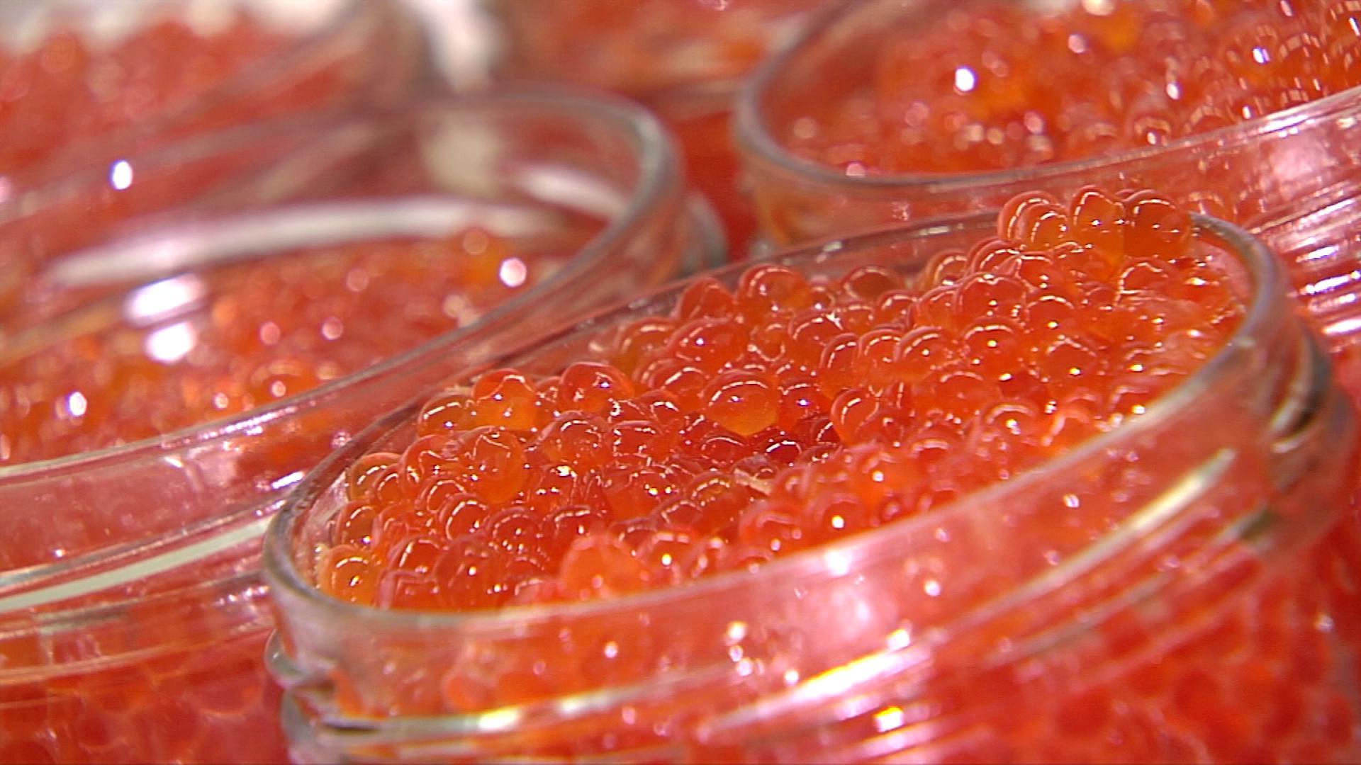 photo de caviar rouge en conserve