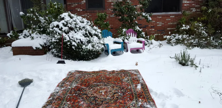 carpet in the snow