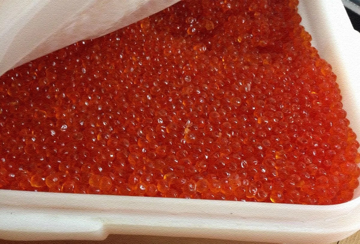 red caviar of pink salmon