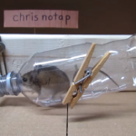 bottle mousetrap ideas photo