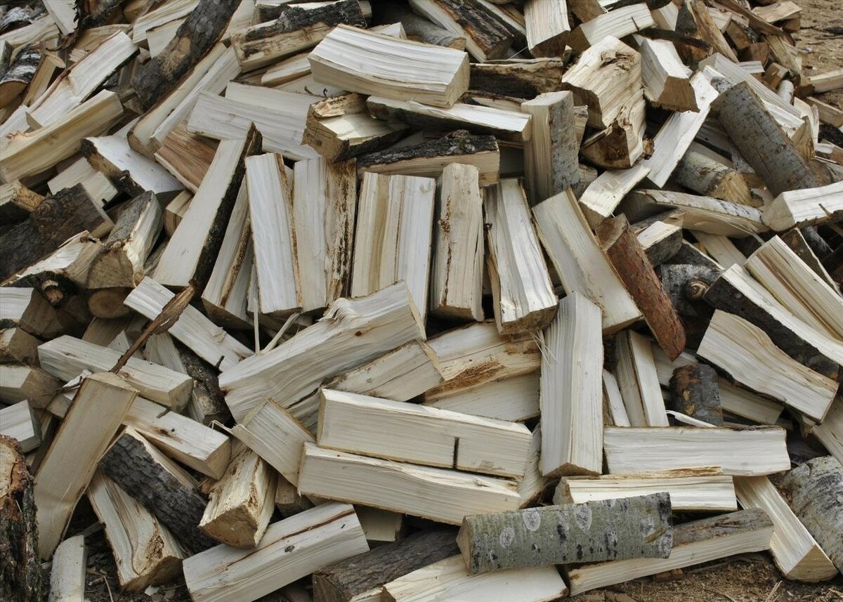 aspen firewood