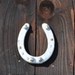 horseshoe on the door photo