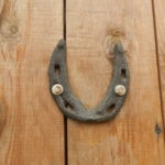 horseshoe on the door photo ideas