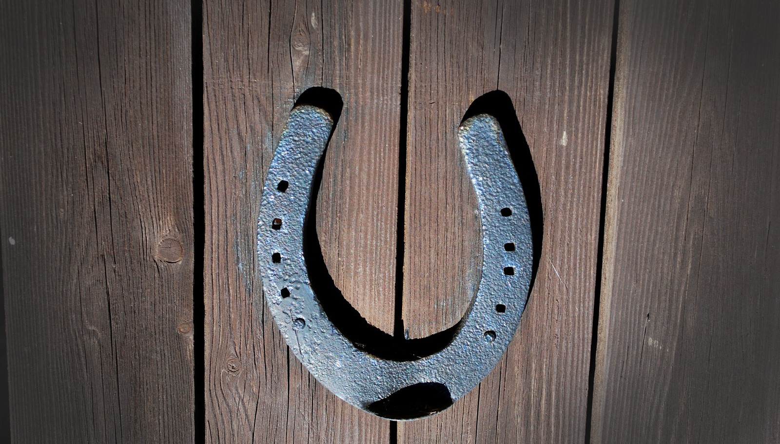 fer à cheval sur la porte