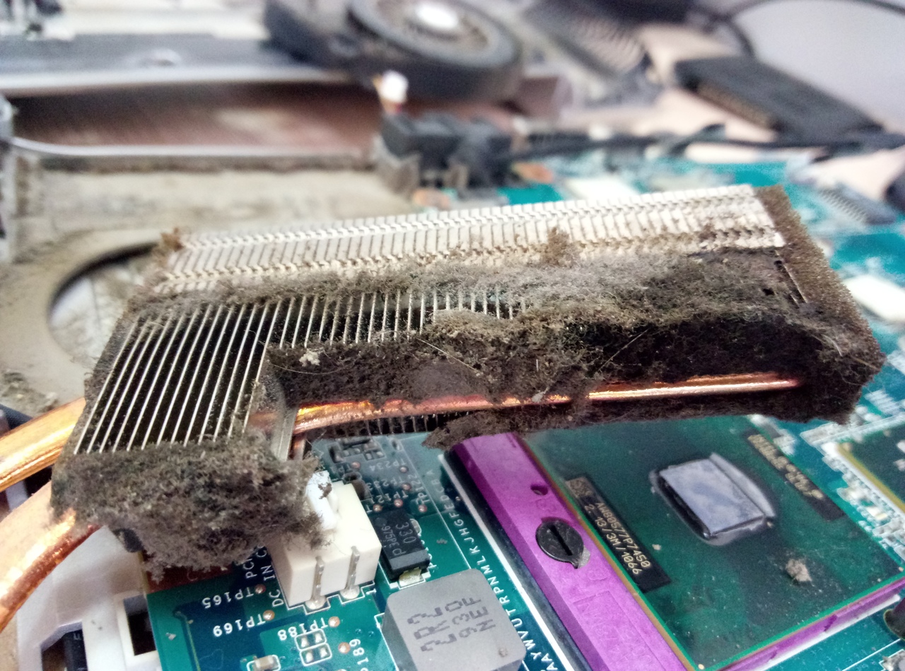 dust in laptop