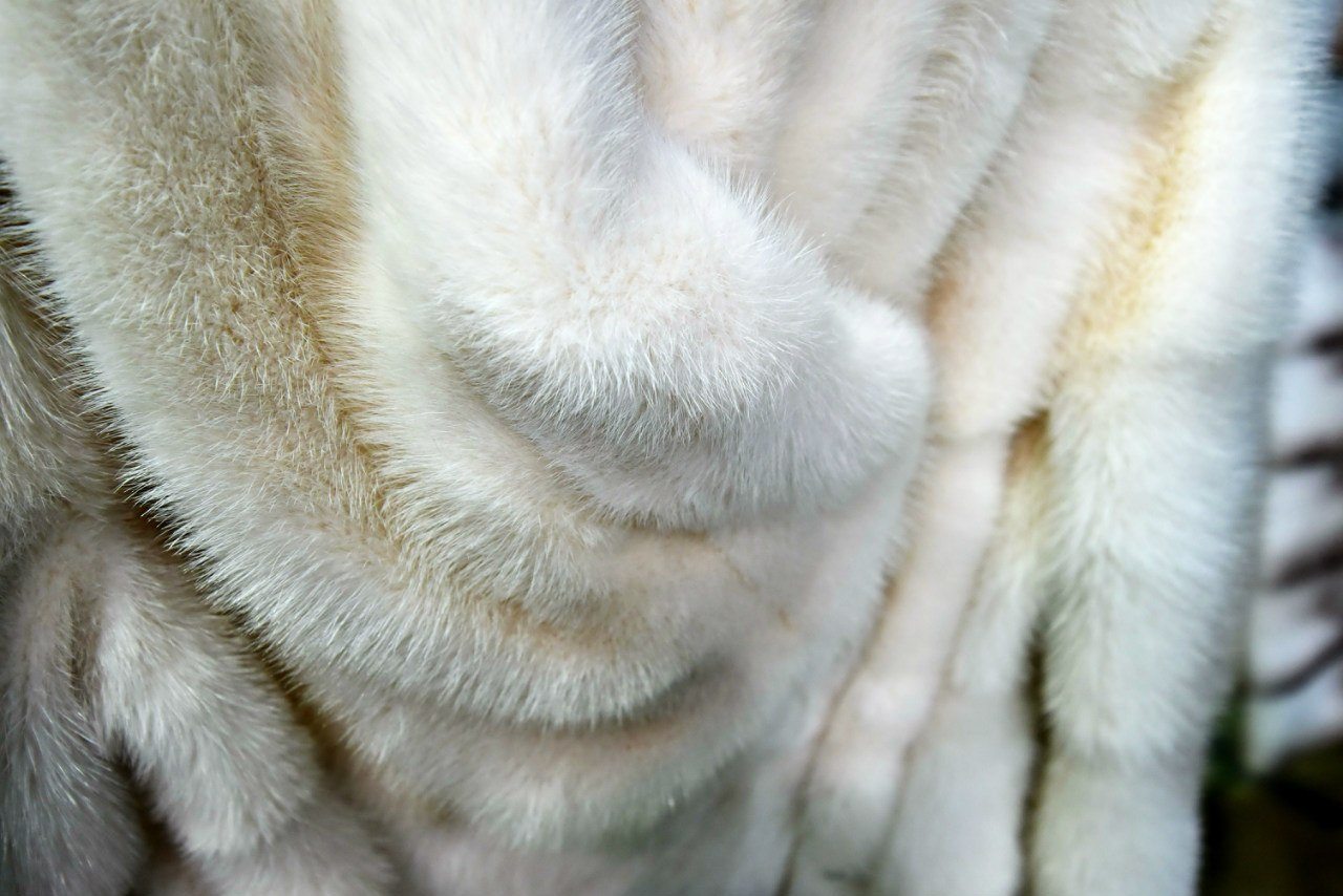 natural fur coat