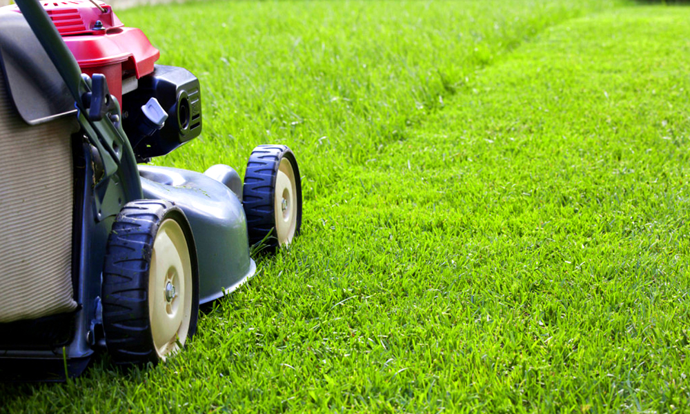 lawn mowing