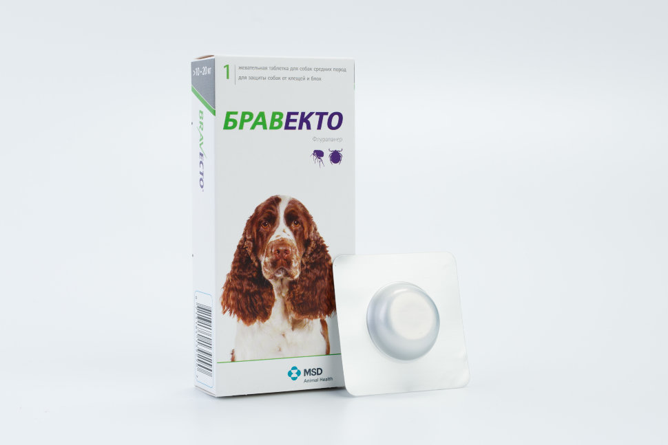 flea and tick pills