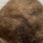 camel and sheep wool