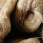 camel's wool