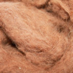 camel hair photo