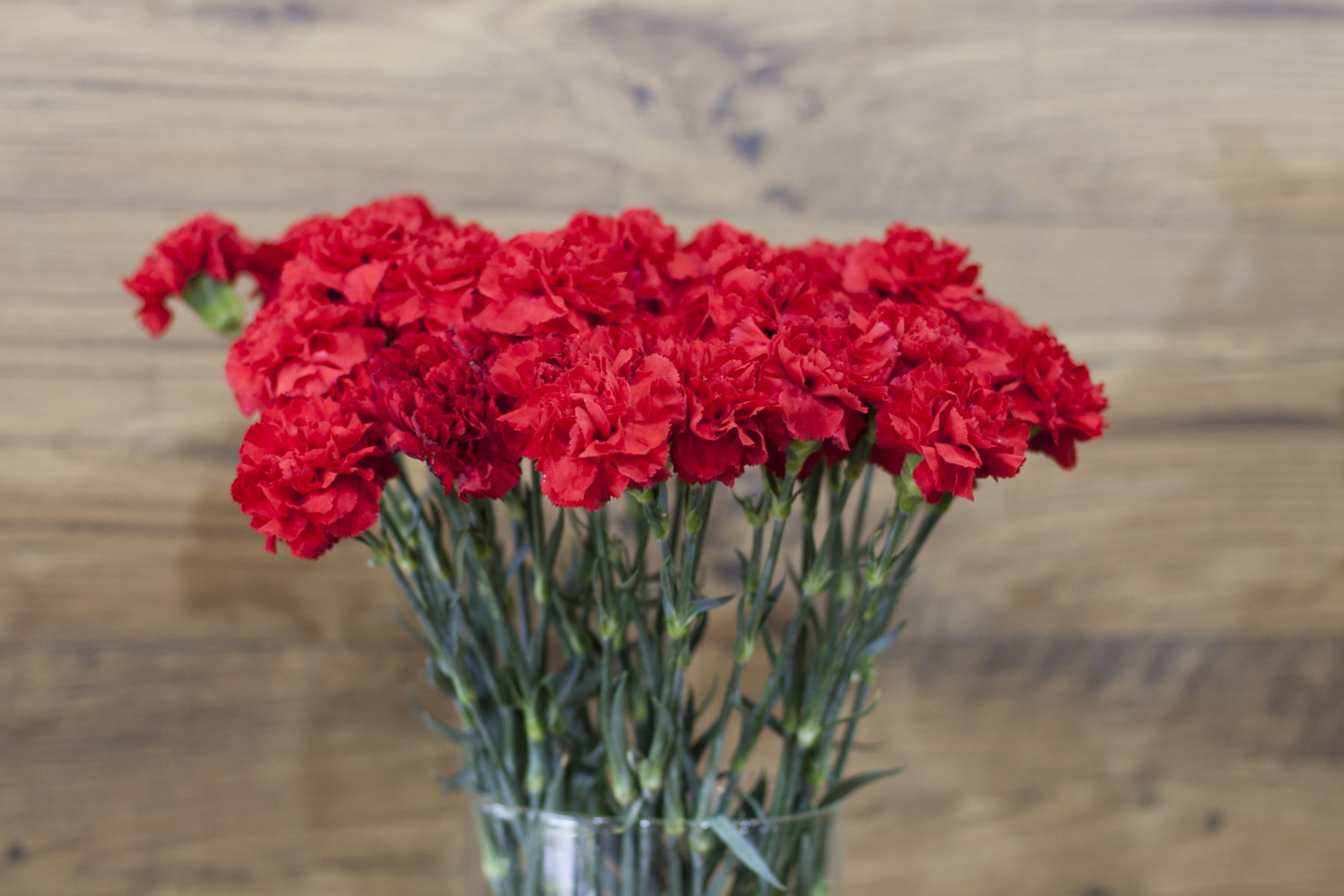 bouquet of carnations