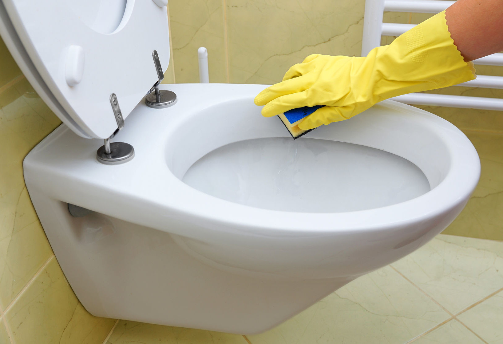 toilet rust prevention