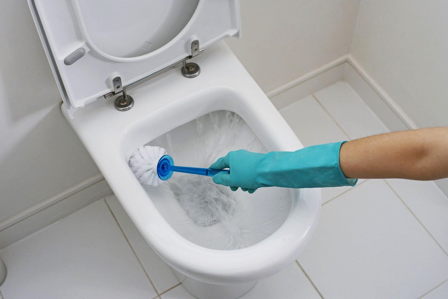 folk remedies for cleaning the toilet