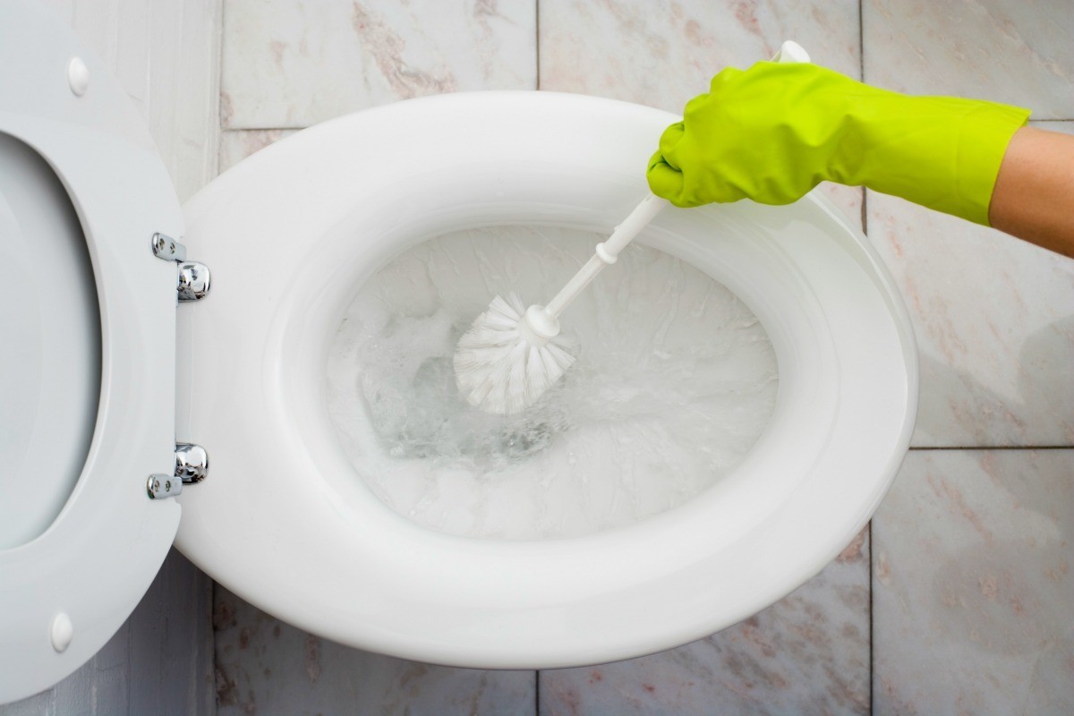 cleaning the toilet with a brush